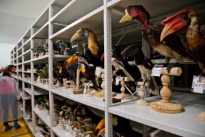 Visite du Centre de Conservation des Collections du Muséum de Bordeaux - Journées du Patrimoine 2022