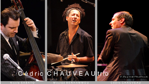 Cedric Chauveau Trio - 26ème Jazz and Blues Festival 2023