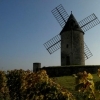affiche A la découverte des moulins - Moulin de Calon - Journées du Patrimoine 2022