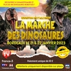 affiche La Marche des dinosaures - Bordeaux