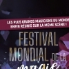 affiche FESTIVAL MONDIAL DE LA MAGIE DES LANDES